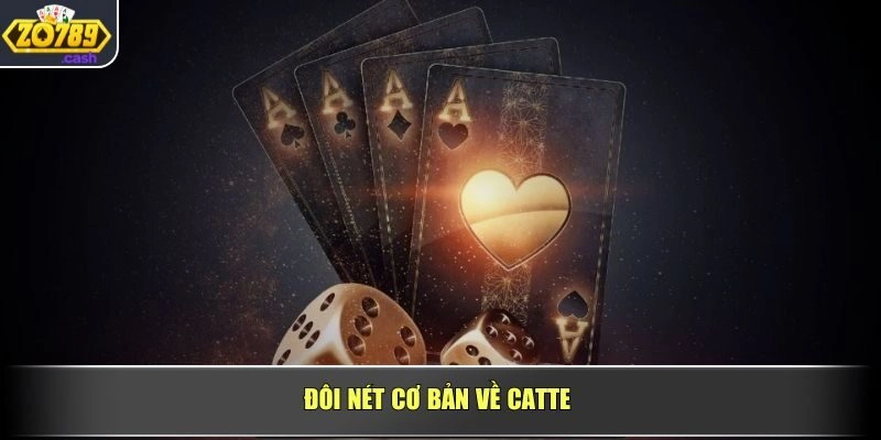 Đôi nét cơ bản về catte