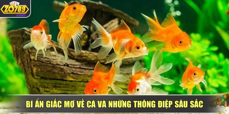 Giải mã giấc mơ thấy cá và những điềm báo quan trọng