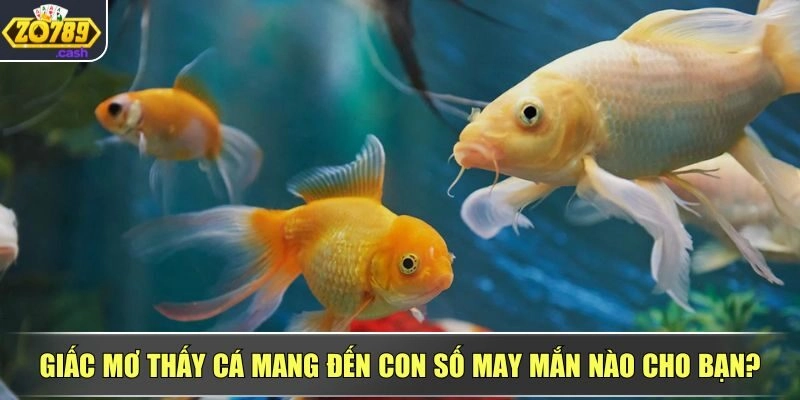Giải mã giấc mơ thấy cá và lời khuyên chọn số tài lộc