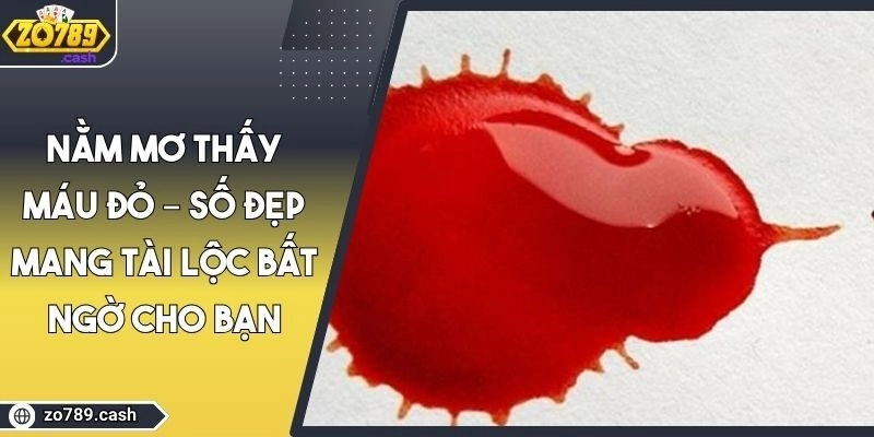Nằm Mơ Thấy Máu Đỏ – Số Đẹp Mang Tài Lộc Bất Ngờ Cho Bạn