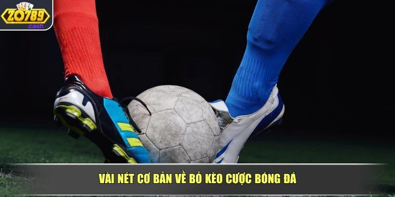 Vài nét cơ bản về bỏ kèo cược bóng đá