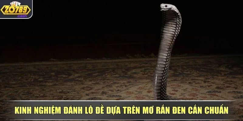 Mẹo soi số từ nằm mơ thấy rắn đen cắn cực hiệu quả