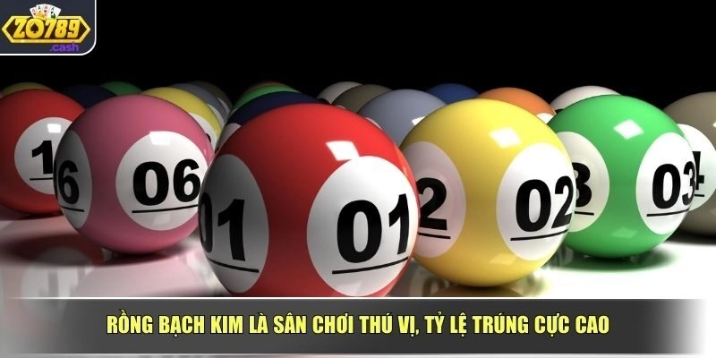 Rồng bạch kim là sân chơi thú vị, tỷ lệ trúng cực cao